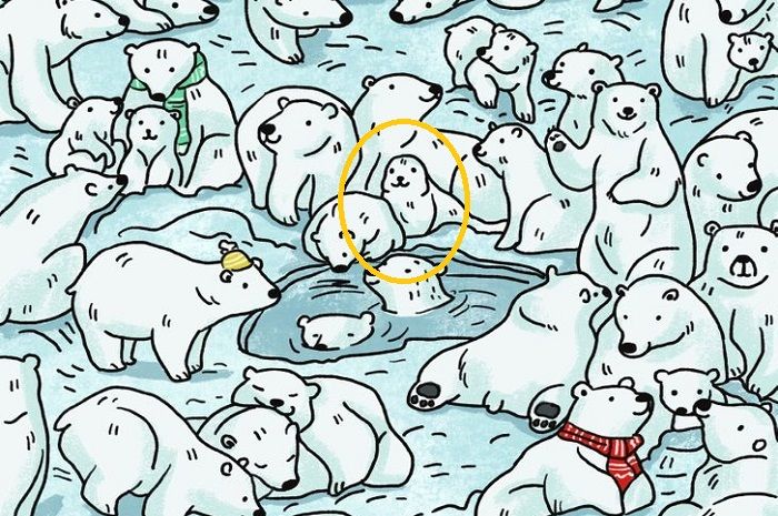 Jawaban tes IQ. Anjing laut di tengah beruang kutub.*