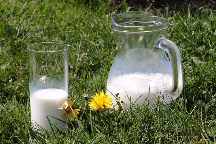 ilustrasi minum susu. Sebagian besar dari kita telah diajari, bahwa tubuh manusia membutuhkan susu untuk memiliki tulang yang kuat, tetapi ini hanyalah mitos. 