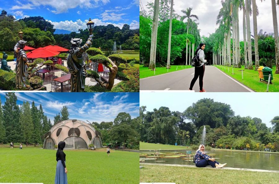 Kolase foto Kebun Raya Bogor, tempat wisata edukasi di Puncak, Bogor 