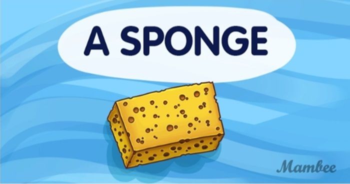Ilustrasi Spons/Sponge