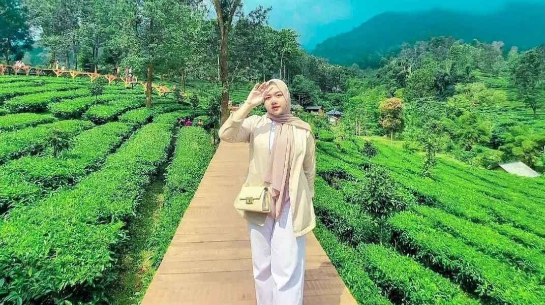 Tea Bridge Gunung Mas/Instagram/woro.wisuda
