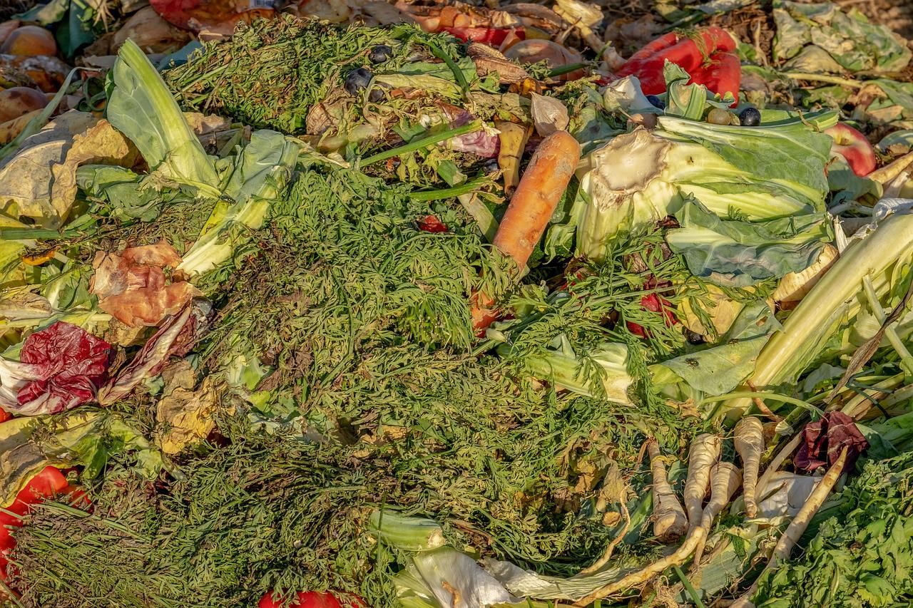 Ilustrasi kompos sampah sayuran 