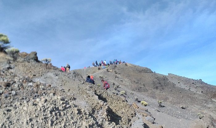 Salah satu jalur pendakian Gunung Rinjani