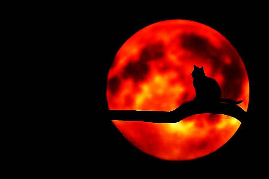 Apa Itu Bulan Suro? Berikut Sejarah Malam Satu Suro dan Kaitannya dengan Hal-hal Mistis