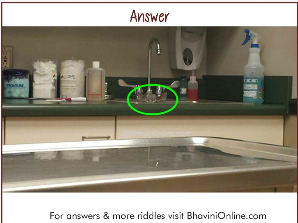 Jawaban tes IQ. Di sana kucing bersembunyi./Bhavini Online
