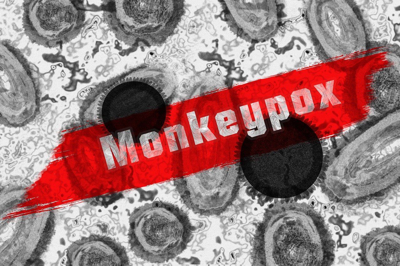 Monkeypox Berstatus Darurat Kesehatan Global, Kemenkes Siapkan Pencegahan  Cacar Monyet dengan Hal Ini - Pikiran Rakyat Depok