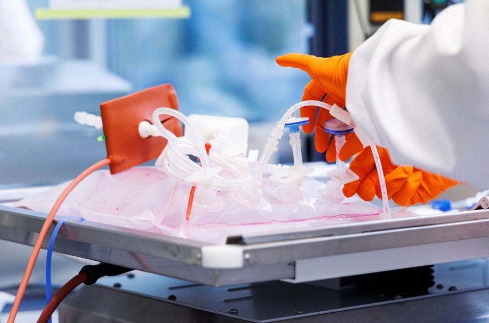 Seorang karyawan perusahaan vaksin Bavarian Nordic bekerja di laboratorium perusahaan di Martinsried dekat Munich, Jerman, 24 Mei 2022.   REUTERS/Lukas Barth