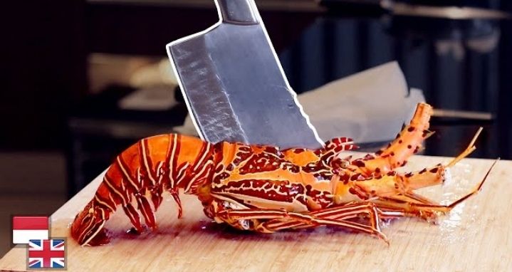 Tips dan Trik Membersihkan dan Memotong Lobster dengan Mudah 