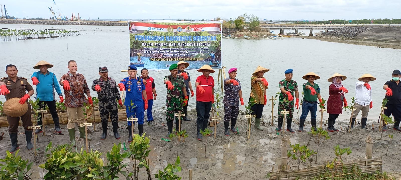 Peringatan Hari Mangrove Sedunia Lanal Denpasar Tanam Ribuan Bibit ...