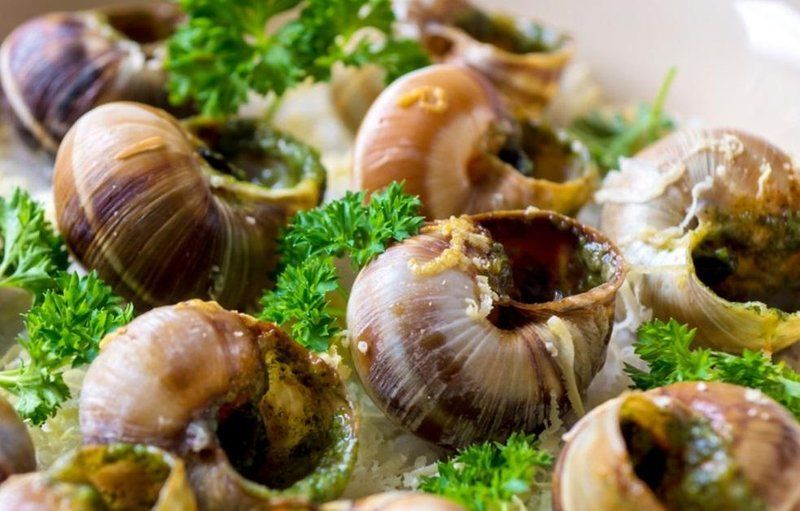 Apa Itu Escargot Yang Viral Di Tiktok Ternyata Makanan Khas Perancis Berbahan Utama Bekicot 