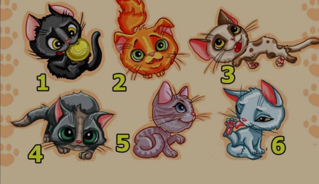 Tes psikologi. Pilih gambar kucing akan ungkap ciri kepribadian Anda.