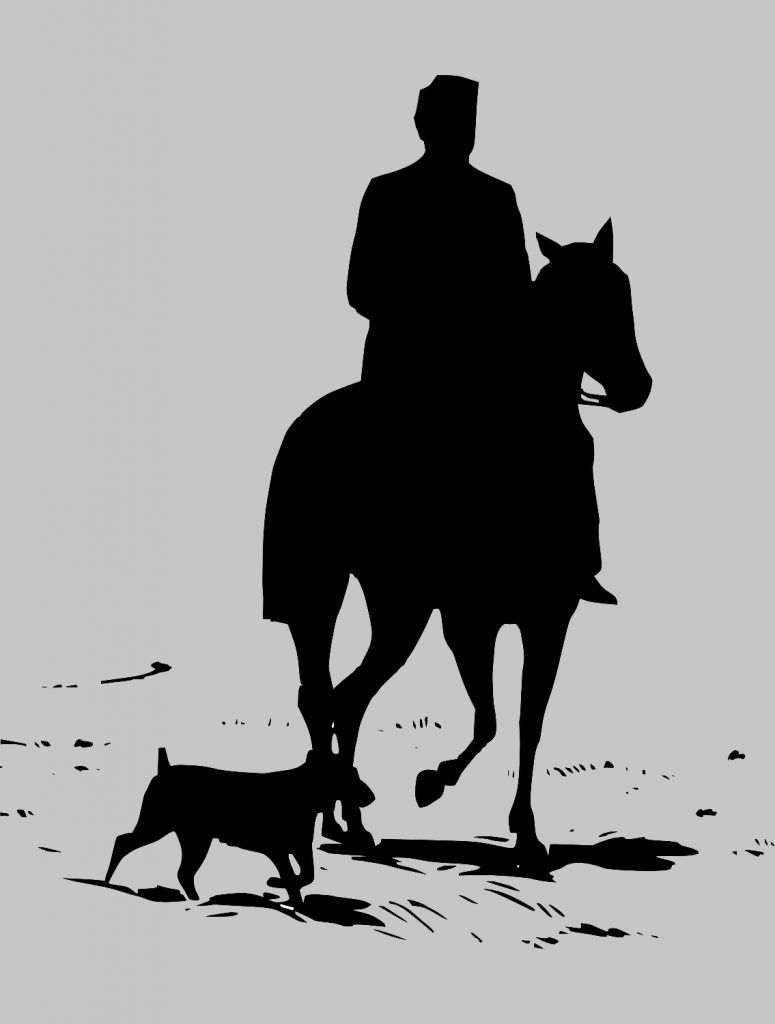 Tes kepribadian: Bongkar kelemahan Anda dengan menebak kuda pada gambar ilusi optik ini maju atau mundur.*