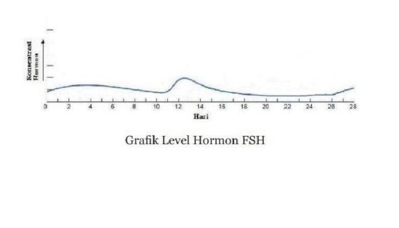 Grafik level hormon FSH.