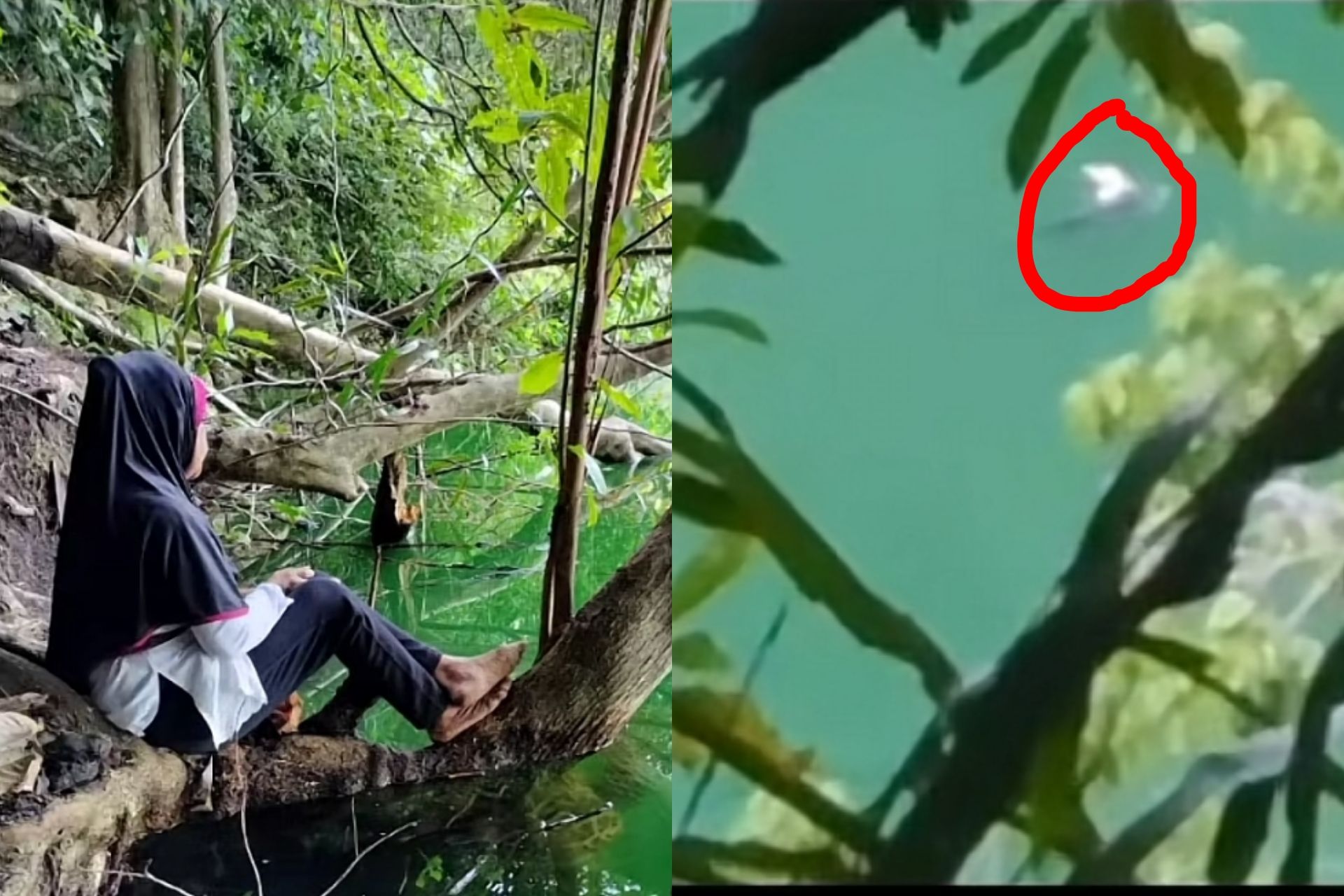 Tangkapan layar: Viral video jasad remaja korban terkaman buaya muncul sendiri di tengah danau Tolire Ternate