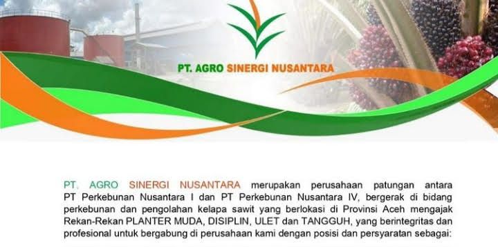 Lowongan Kerja Bumn Pt Agro Sinergi Nusantara Terbaru Agustus 2022 Lulusan S1 Cek Syarat Dan