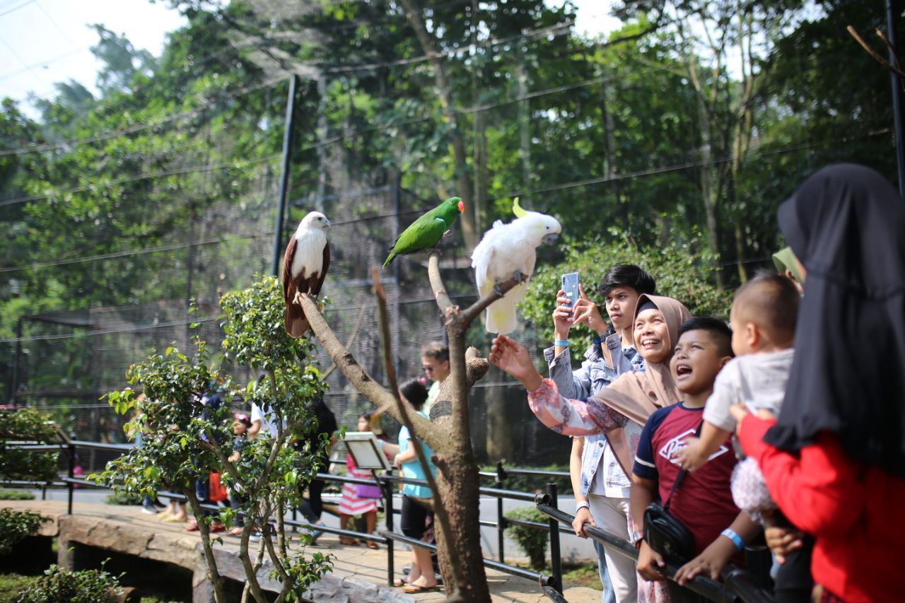 Ilustrasi suasana pengunjung di Kebun Binatang Bandung