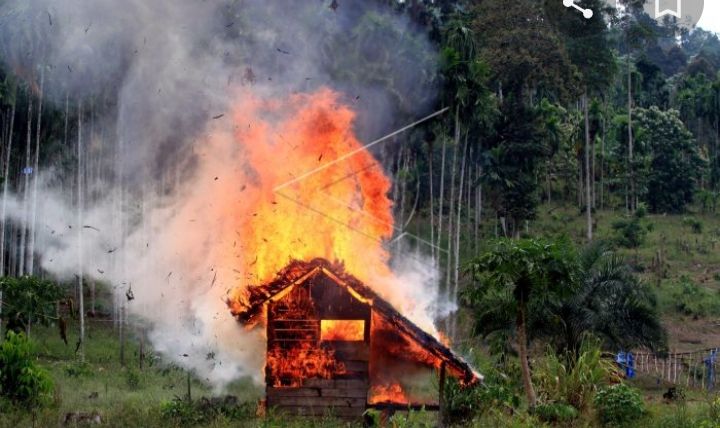  Ilustrasi pembakaran rumah.