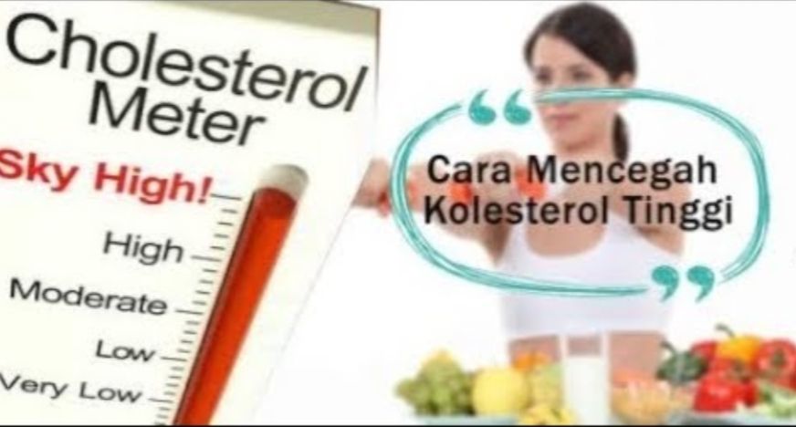 Perbedaan Kolesterol Dan Trigliserida Jangan Sampai K