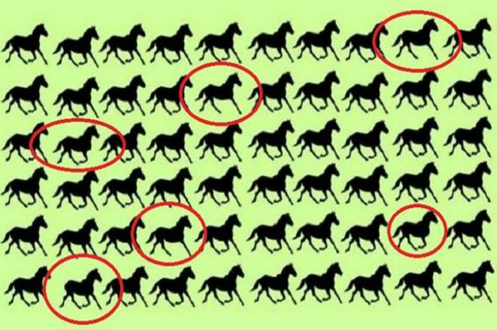 Letak kuda yang berbeda pada gambar tes fokus.