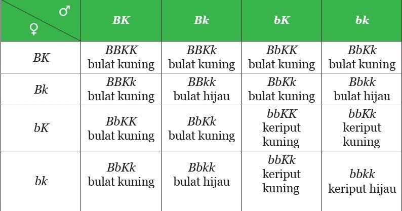 Soal Dan Kunci Jawaban IPA Kelas 9 SMP Halaman 157 158 159 Uji ...