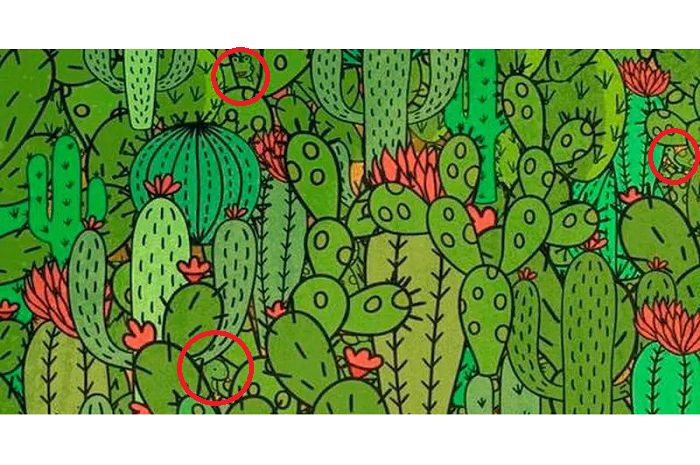 Letak tiga hewan dalam gambar kaktus ini.*