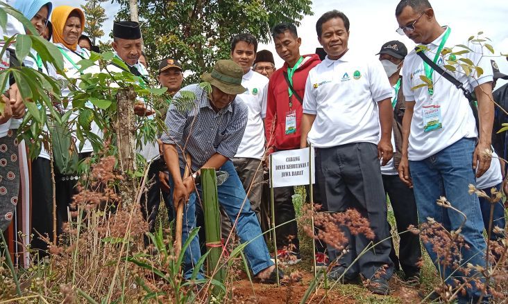 Puluhan Hektare Hutan Lindung di DAS Sungai Citarum Kritis, Imbas Alih Fungsi Lahan di Kabupaten Bandung