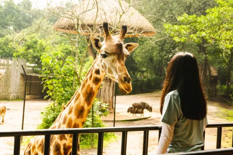 Syarat Masuk Kebun Binatang Bandung Terbaru: Berapa Harga Tiket Masuk ...