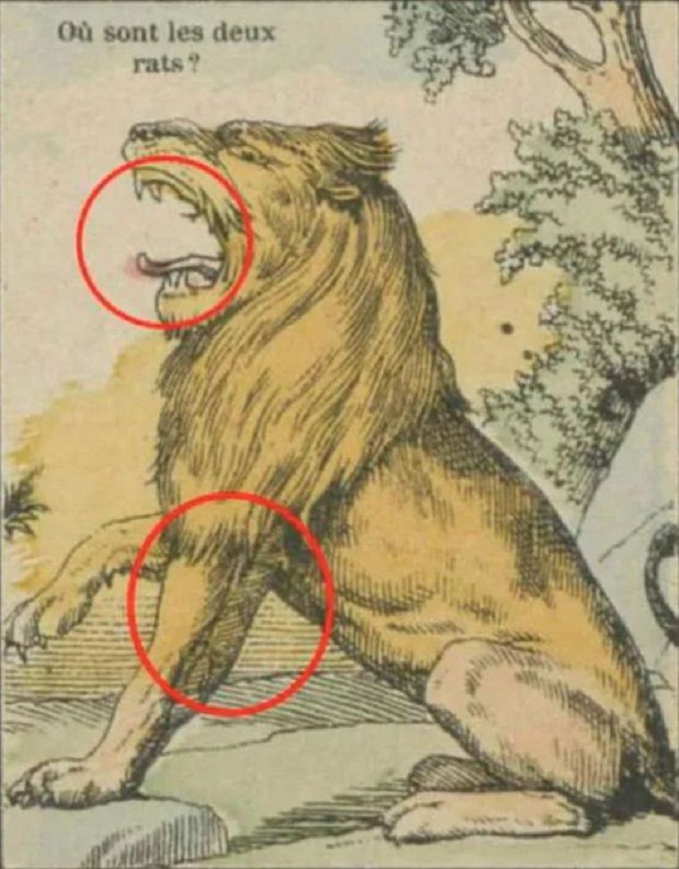 Jawaban tes IQ dalam menemukan dua ekor tikus di gambar singa dari Depor. 