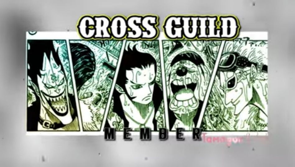 Organisasi Bajak Laut di One Piece, Begini 5 Fakta Menarik Cross Guild