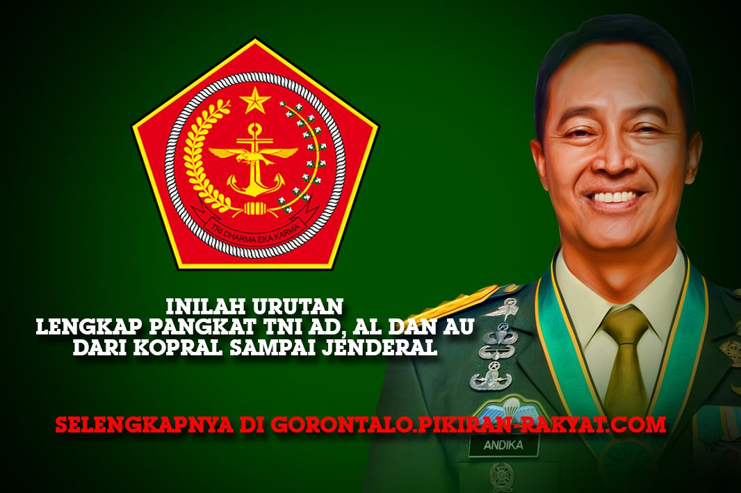 Struktur jabatan dan pangkat TNI sebenarnya sudah ada sejak masih bernama TKR atau Tentara Keamanan Rakyat.