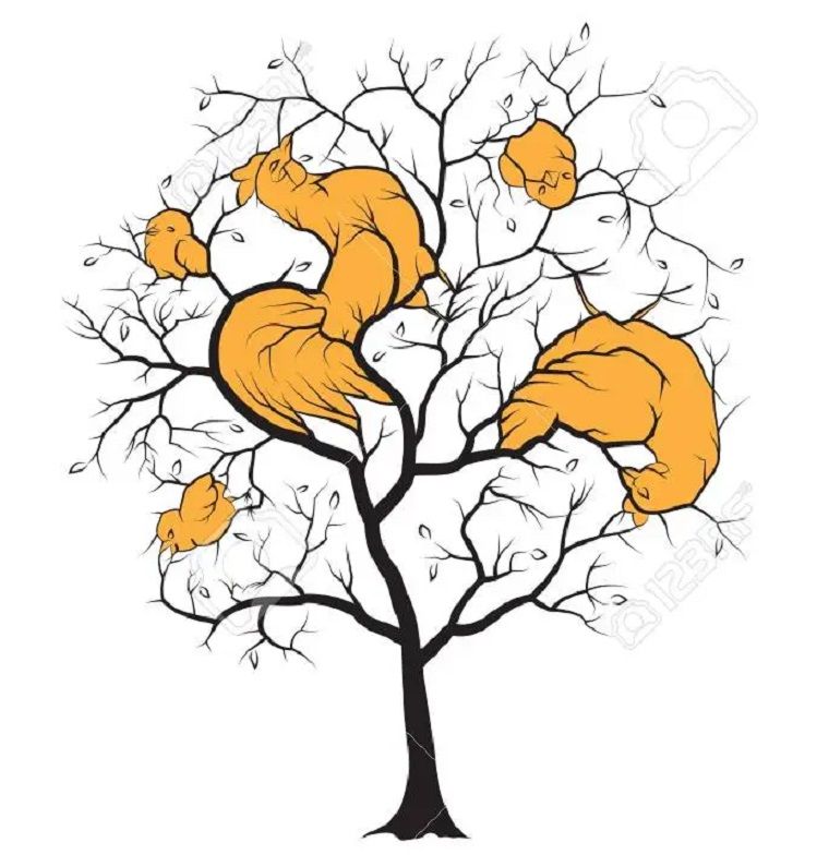 Jawaban tes IQ dalam menemukan semua burung pada gambar pohon. Educadores Live