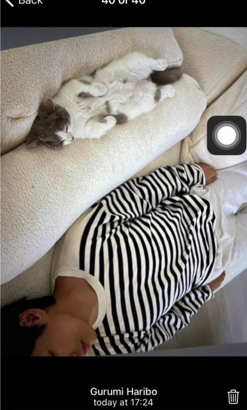 Foto yang diduga V BTS dan kucing Jennie BLACKPINK./Koreaboo