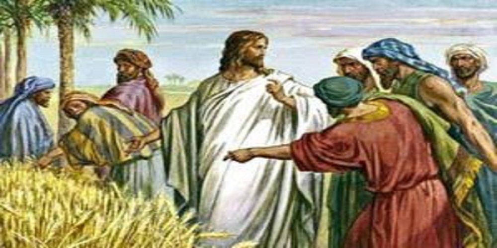 Ilustrasi Yesus bersama murid-muridnya berada di ladang gandum.