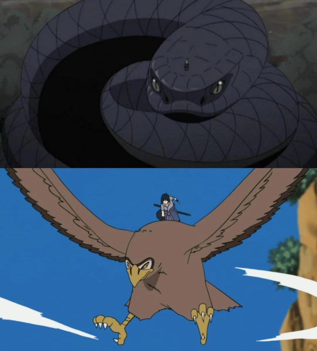 Elang Garuda dan Ular Aoda Kuchiyose milik Sasuke