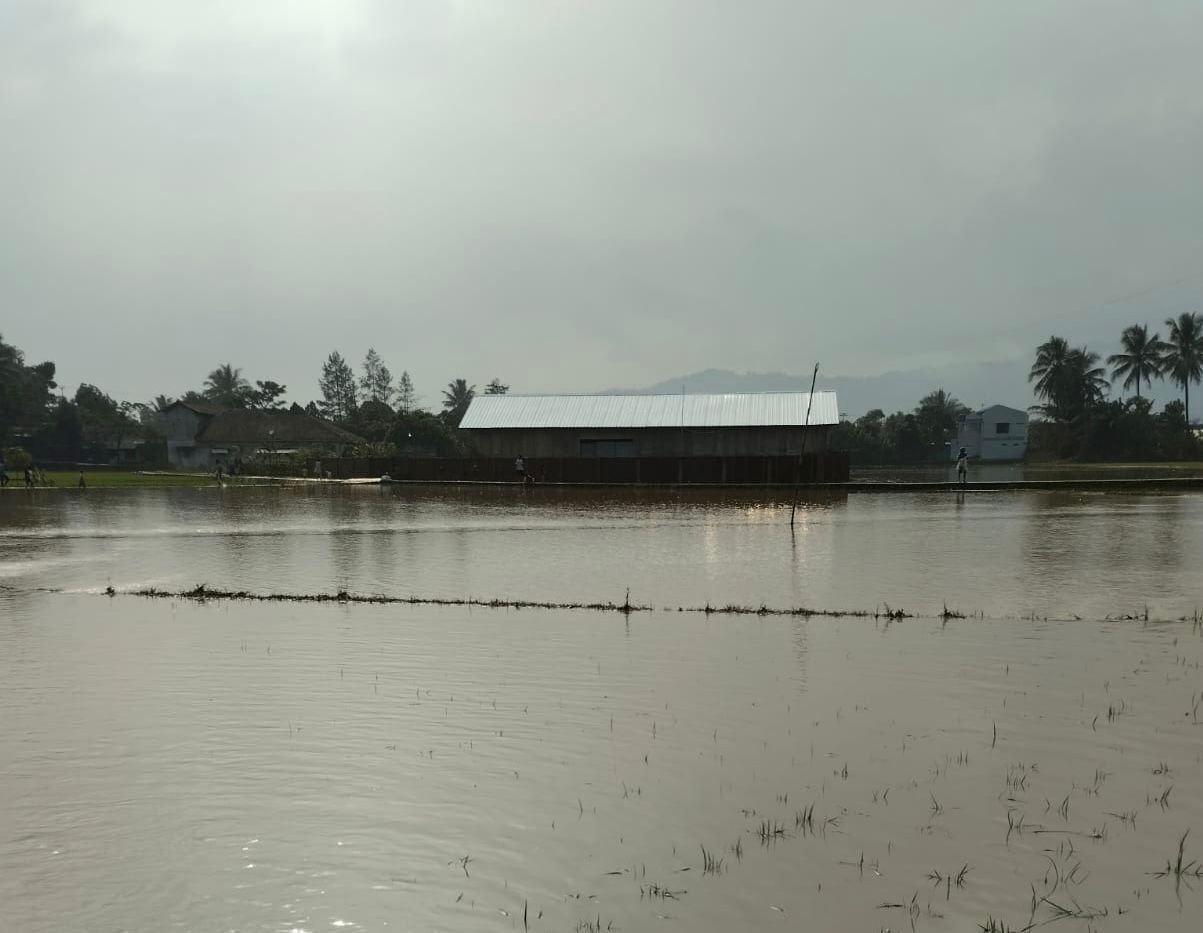 Banjir Menerjang Cibeber Cianjur, 10 Hektare Sawah Rusak./Jendela Cianjur