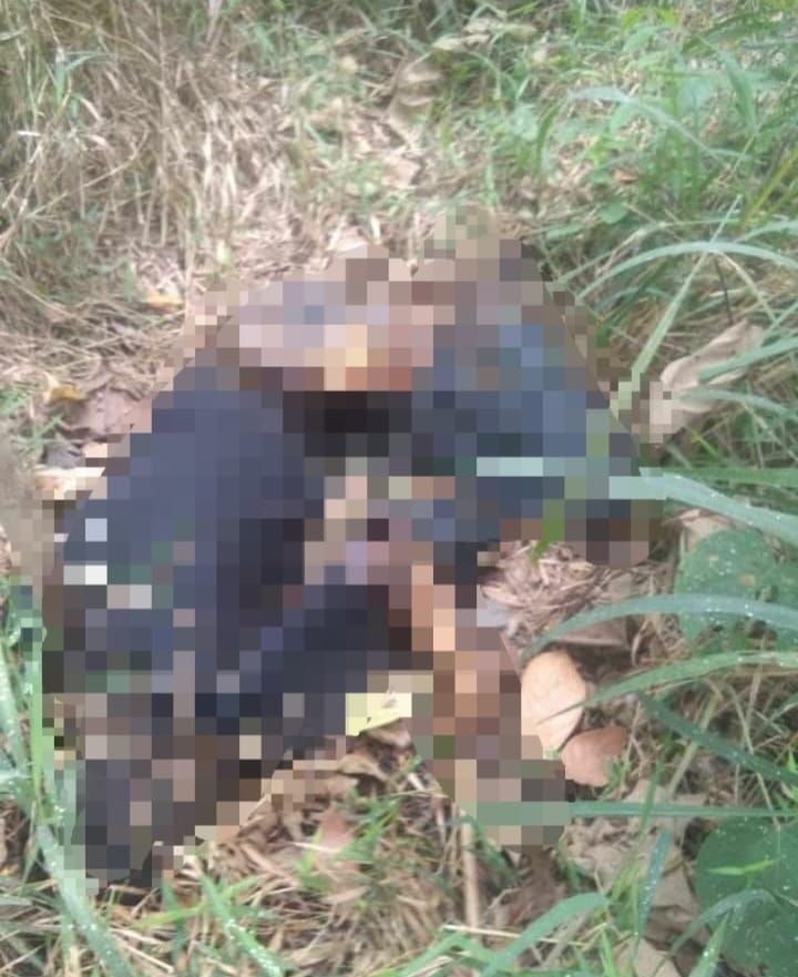 Penemuan mayat seorang Pria tanpa identitas di Desa Wanasari, Kecamatan Cipunagara, Kabupaten Subang.