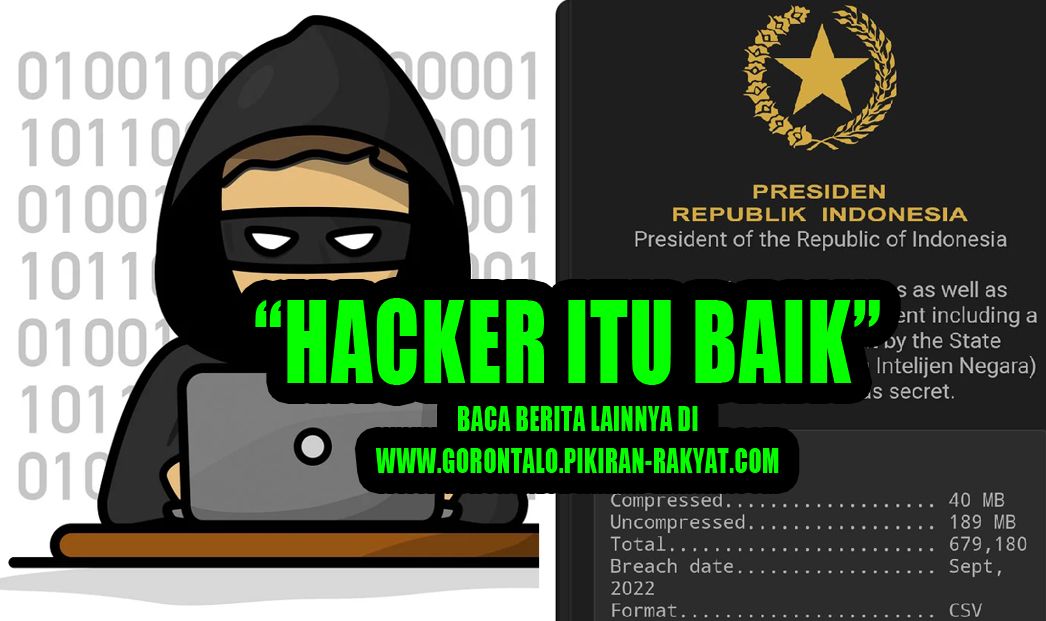 Benarkah Hacker Bjorka Bocorkan Dokumen Rahasia? Ternyata Hacker Itu ...