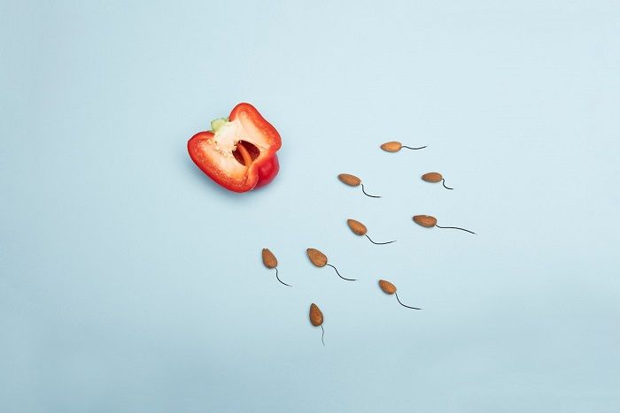 Untuk Suami: Ini 6 Kebiasaan Sehari-hari yang Bisa Menurunkan Kualitas Sperma