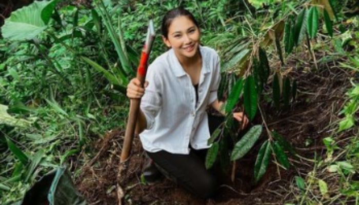 Audrey Vanessa Sedang Menanam Pohon Durian di Lereng Bukit