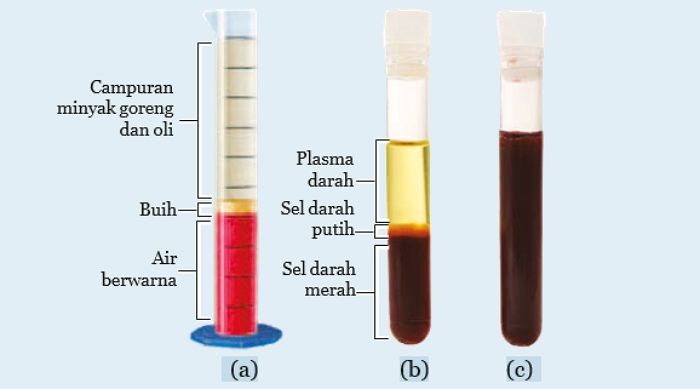 hasil dari percobaan model komponen penyusun darah yang serupa dengan hasil sentrifugasi dari darah