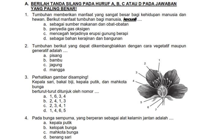 Pembahasan artikel soal dan kunci jawaban ulangan harian kelas 6 tema 1 semester 1 tentang tumbuhan ini mencakup 10 pembahasan soal pilihan ganda bisa dijadikan referensi belajar murid.