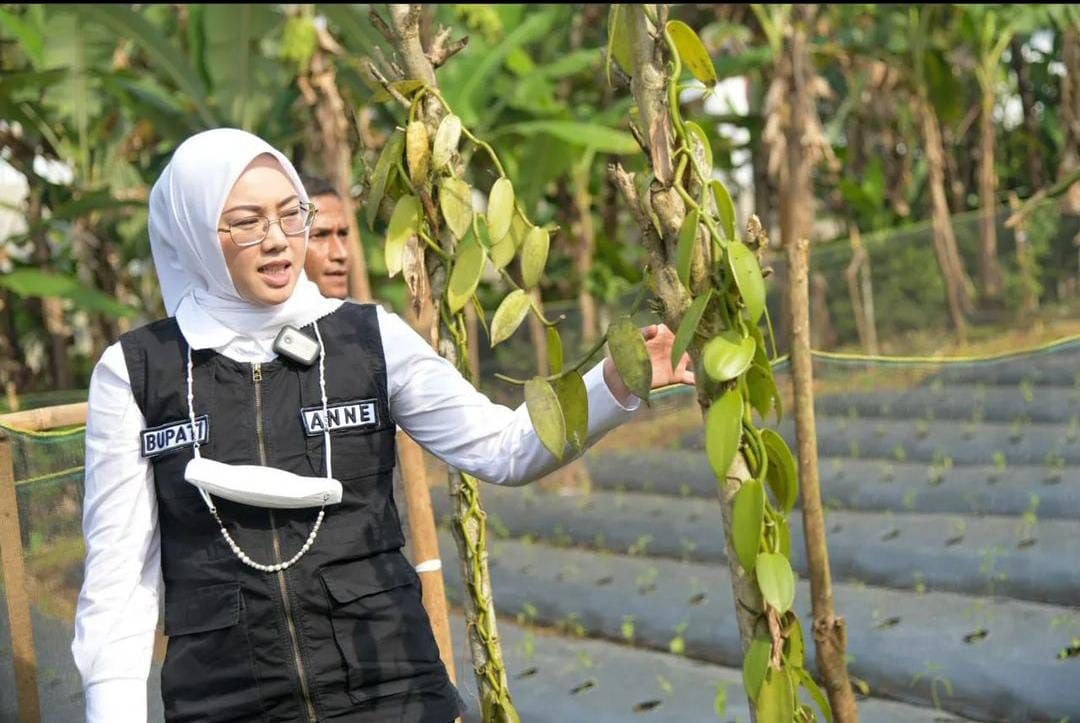 Profil Lengkap Bupati Purwakarta Anne Ratna Mustika Yang Gugat Cerai Sang Suami Dedi Mulyadi 