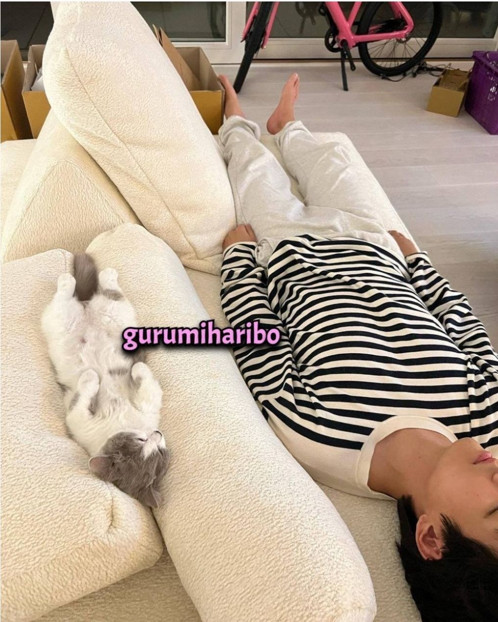Foto HD V BTS berbaring di samping kucing yang diduga milik ibu Jennie BLACKPINK./Allkpop