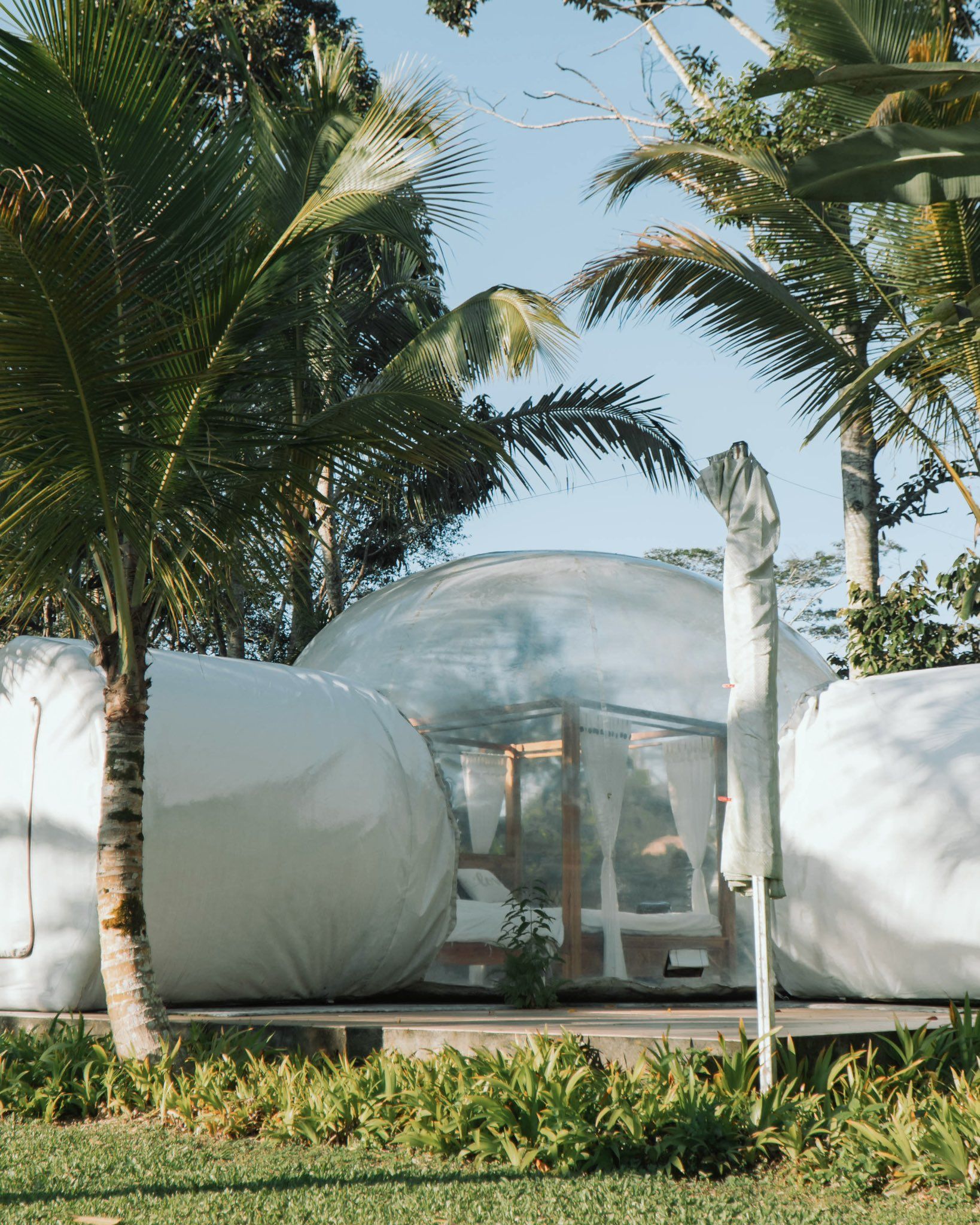 rekomendasi hotel di Bali, Jungle Bubble Lodgue Tabanan Bali