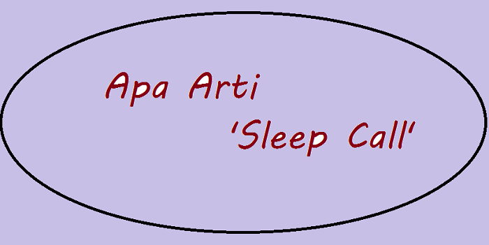 Apa arti dari Sleep Call? Kata yang sedang viral saat ini