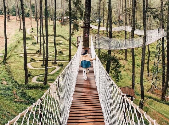 t wisata outdoor populer dan rekomendasi  di Bandung, Orchid Forest Cikole.