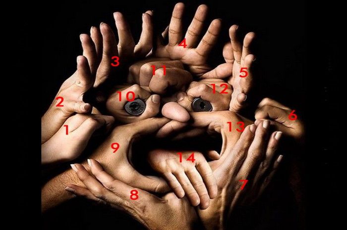 Jumlah tangan pada gambar ini ada 14 tangan.*