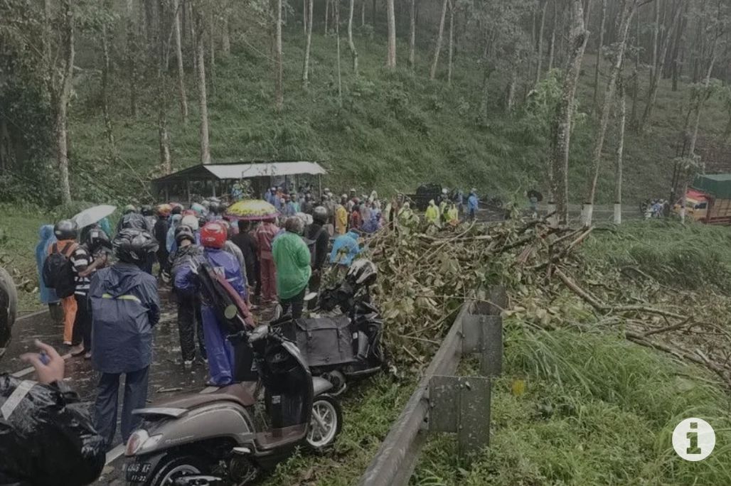 Pohon tumbang di wilayah Jawa Timur, jalur Malang-Kediri yang mengakibatkan satu korban meninggal