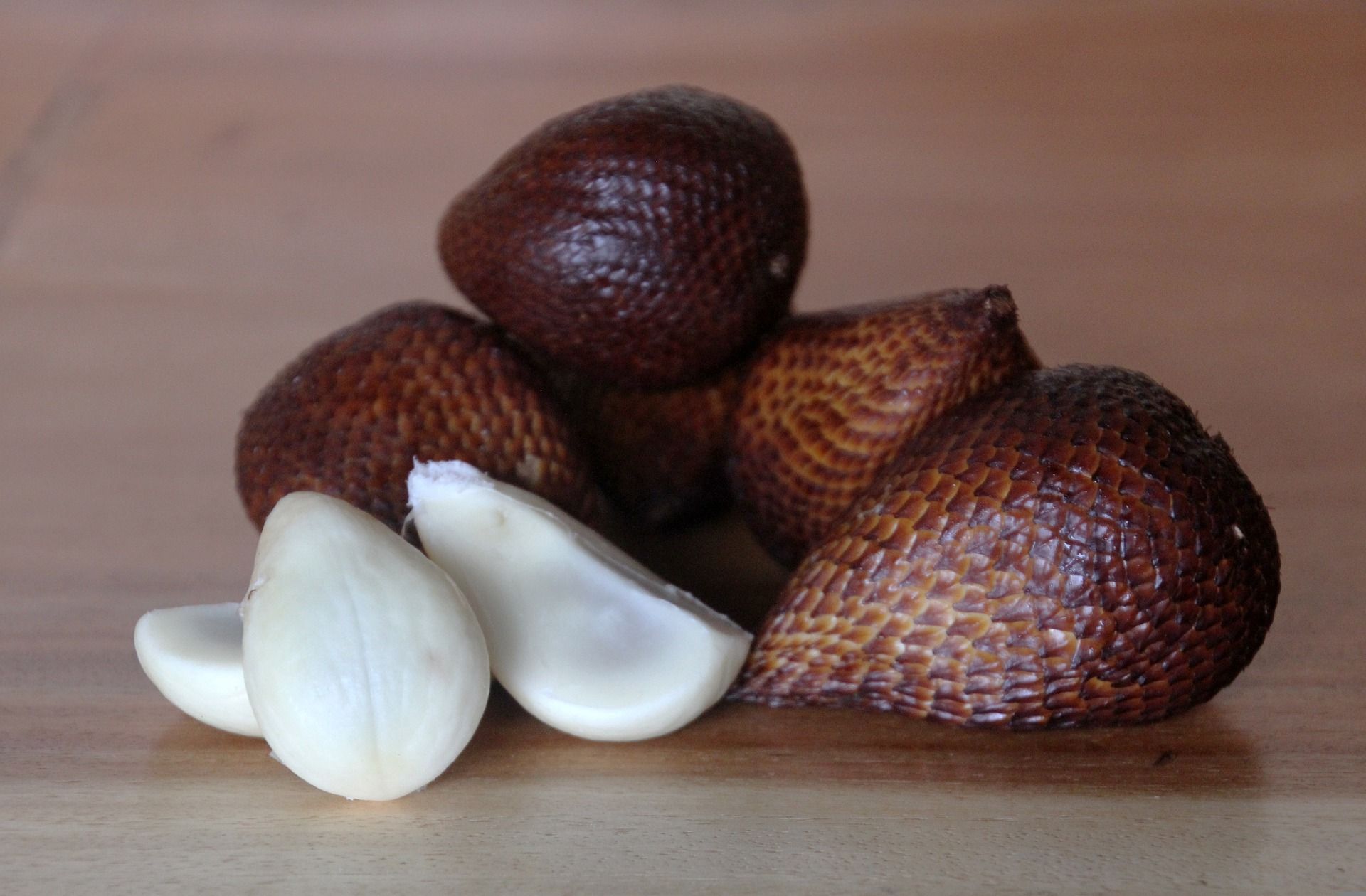 Ilustrasi buah Salak 