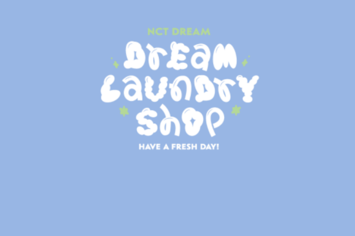 Dream Laundry Shop Game.